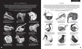gabinet-zoologii