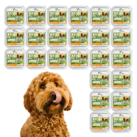 raw-paleo-turkey-pate-mini-adult-alu-tray-24x150g