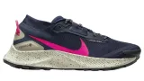 nike-pegasus-trail-3-gtx-kod-producenta-dc8793-401