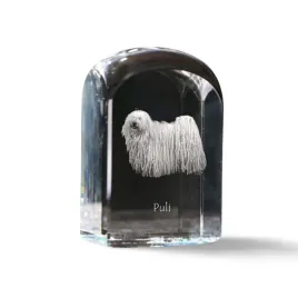 puli-krysztalowa-kostka-ze-zdjeciem-zdjecie-psa-w-krysztale-szescienny