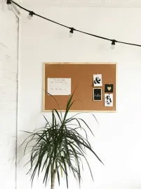 tablica-korkowa-20x50-drewno-pinezki-gratis