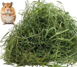 najlepsze-siano-dla-chomika-dzungarskiego-1-kg-eko-dobry-naturalny-pokarm