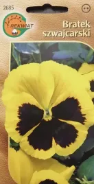 bratek-szwajcarski-zolty-z-plamka-nasiona-rabata