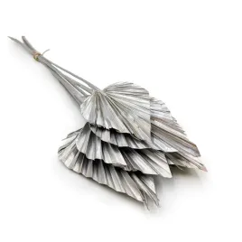 palma-cieta-wachlarz-strzalka-palm-spear-srebro-platyna
