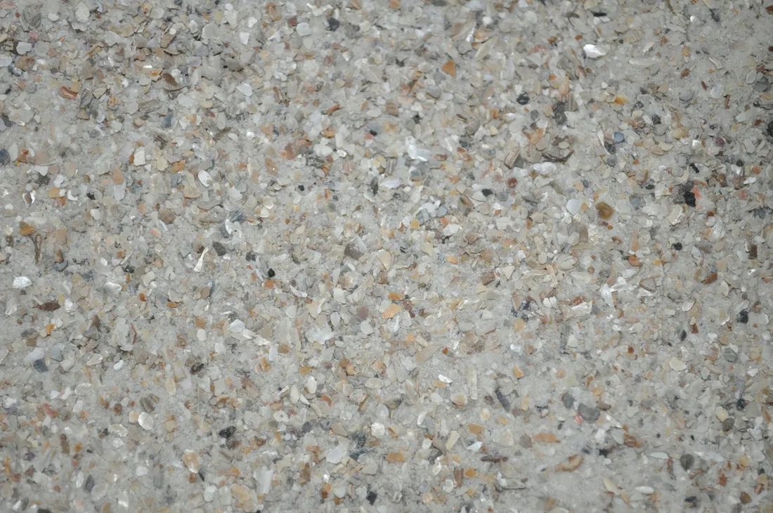 shell-sand-marine-5kg