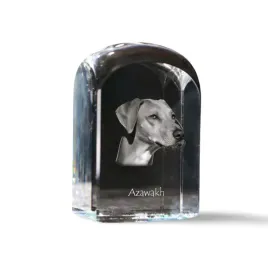 chart-afrykanski-azawakh-krysztalowa-kostka-ze-zdjeciem-zdjecie-psa-w-k