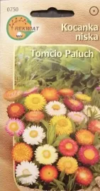kocanka-niska-mix-nasiona-rabata-donica-skalniak