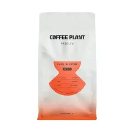 coffee-plant-flow-blossom-filter-800g