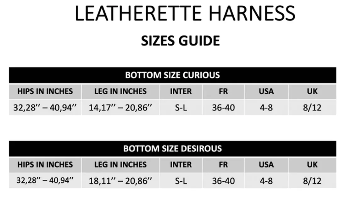 pas-strapon-leatherette-harness-curious