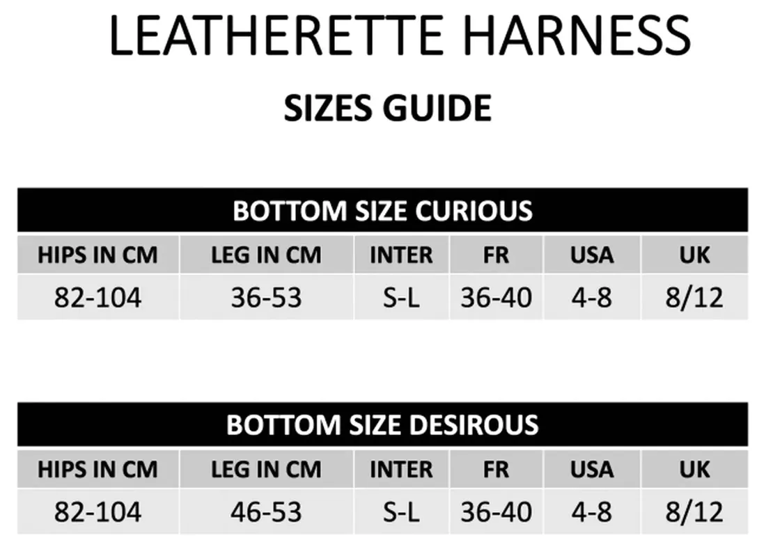 pas-strapon-leatherette-harness-curious-stan-nowy