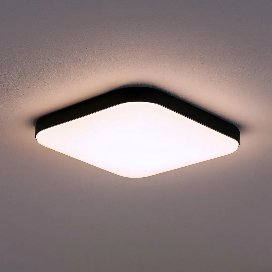 plafon-nemo-black-17w-led