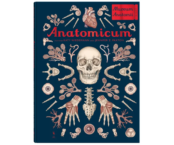 anatomicum-muzeum-anatomii