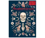 anatomicum-muzeum-anatomii