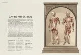 anatomicum-muzeum-anatomii