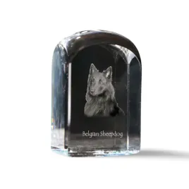 tervueren-owczarek-belgijski-krysztalowa-kostka-ze-zdjeciem-zdjecie-psa