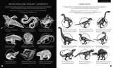 gabinet-dinozaurow