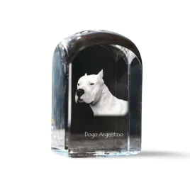 dog-argentynski-dogo-argentino-krysztalowa-kostka-ze-zdjeciem-zdjecie-p