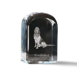bloodhound-pies-sw-huberta-krysztalowa-kostka-ze-zdjeciem-zdjecie-psa