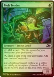 mtg-molt-tender-foil-dft-or-uncommon-or-graveyard-synergy-nm