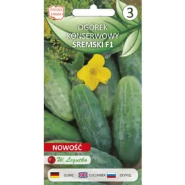 ogorek-gruntowy-konserwowy-sremski-mieszaniec-2g-seria-bazowa-legutko