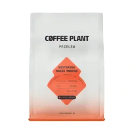 coffee-plant-kawa-ziarnista-kostaryka-mario-moreno-natural-filter-250-g