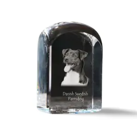 dunsko-szwedzki-pies-wiejski-krysztalowa-kostka-ze-zdjeciem-zdjecie-psa