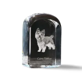 cairn-terrier-krysztalowa-kostka-ze-zdjeciem-zdjecie-psa-w-krysztale-sz