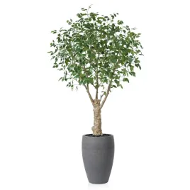 sztuczne-drzewko-figowe-fikus-240-cm-duza-realistyczna-dekoracja-wnetrz