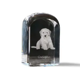 cockapoo-cockerpoo-spoodle-krysztalowa-kostka-ze-zdjeciem-zdjecie-psa