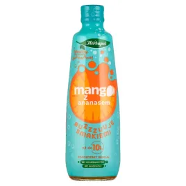 herbapol-koncentrat-napoju-mango-z-ananasem-405-ml