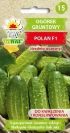 ogorek-gruntowy-polan-f1-srednio-wczesny