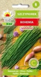 szczypiorek-bohemia-wieloletni-nasiona-2-g