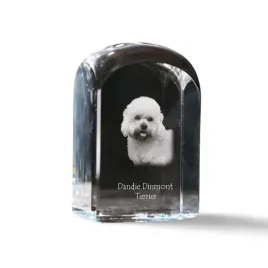 dandie-dinmont-terrier-krysztalowa-kostka-ze-zdjeciem-zdjecie-psa-w-krys