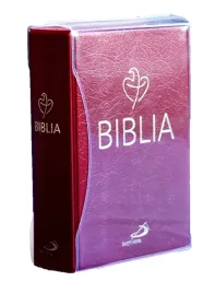 biblia-tabor-pvc-bordowa