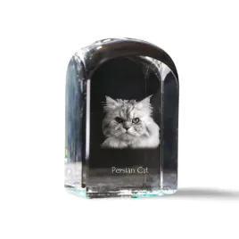 perski-krysztalowa-kostka-ze-zdjeciem-zdjecie-kota-w-krysztale-szescien