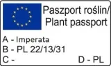 imperata-cylindryczna-red-baron-1l-producent-szkolka-pnaczy-marek-wedrowski-stan-nowy
