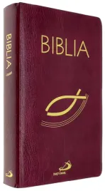 biblia-z-kolorowa-wkladka-bordowa