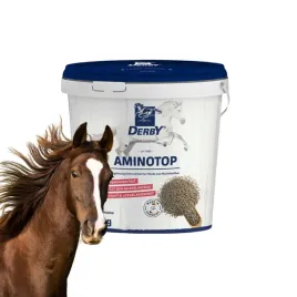 derby-aminotop-mieszanka-paszowa-uzupelniajaca-z-aminokwasami-dla-koni-5kg