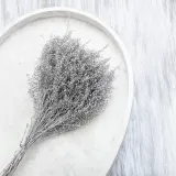 lepidium-suszone-lepidium-sativum-srebrne-stan-nowy