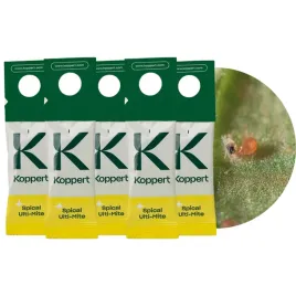 zestaw-dobroczynek-kalifornijski-vegano-5-szt