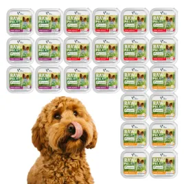 raw-paleo-pate-mini-adult-alu-tray-mix-24x150g