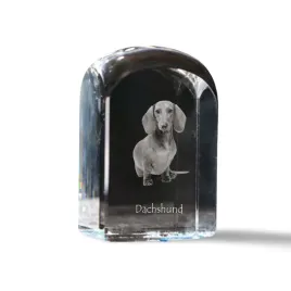 jamnik-krysztalowa-kostka-ze-zdjeciem-zdjecie-psa-w-krysztale-szescienn