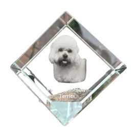 dandie-dinmont-terrier-krysztalowa-kostka-ze-zdjeciem-zdjecie-konia-w-kr