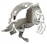 lustro-akrylowe-galinowy-kon-stan-nowy