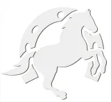 lustro-akrylowe-galinowy-kon-wykonanie-gotowe