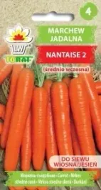 marchew-jadalna-nantaise-2-srednio-wczesna-5g