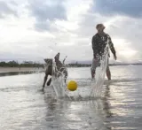 pileczka-dla-psa-waboba-fetch-stan-nowy