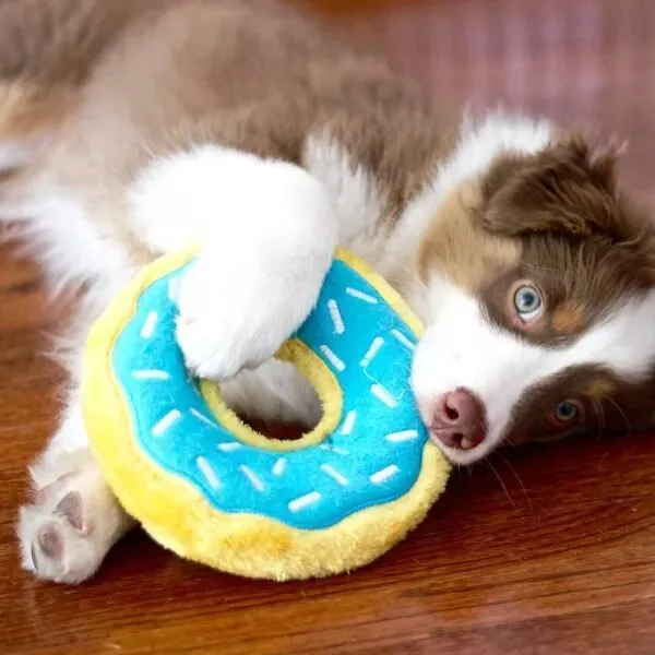 donut-jagodowy-zippypaws