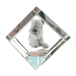 lakeland-terrier-krysztalowa-kostka-ze-zdjeciem-zdjecie-konia-w-krysztal