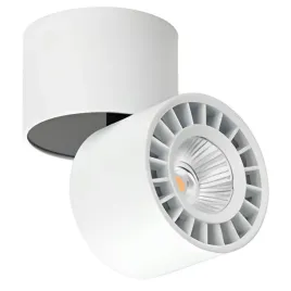 regulowany-downlight-pokojowy-herios-led-12w-3000k-tuba-z-regulacja-biala